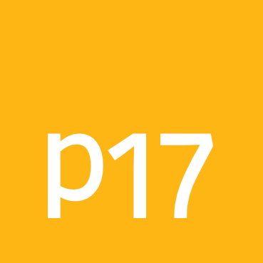 p17-data Logo